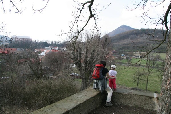 IMG_8403_1