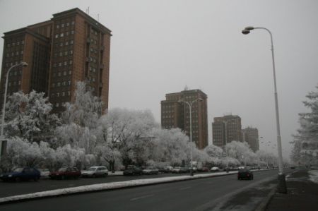 IMG_1751.JPG