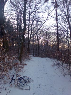 06012008132.jpg