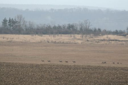 IMG_3507.JPG