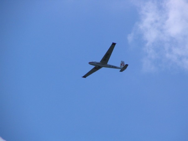 IMG_4894.JPG